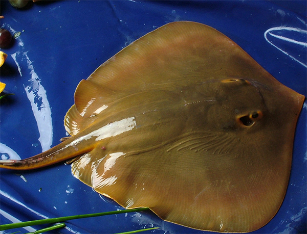 未標題-1.jpg 未標題-1.jpg